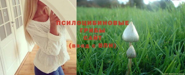 круглые Покачи