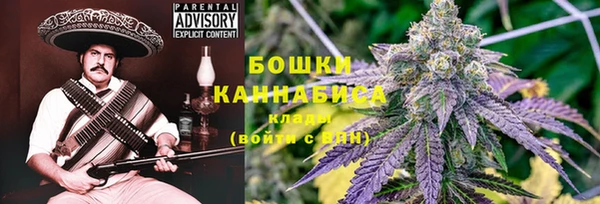 прущие грибы Валуйки