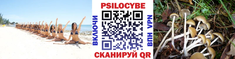 Галлюциногенные грибы GOLDEN TEACHER ОМГ ОМГ ССЫЛКА Богучар